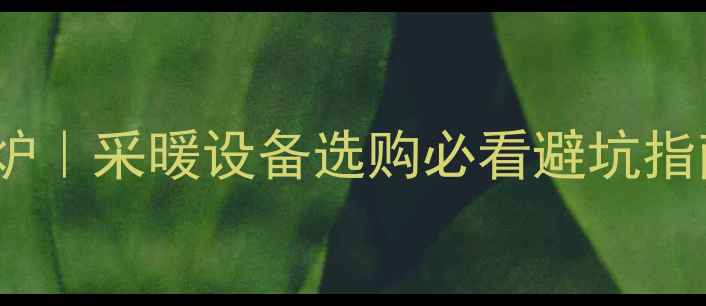 壁挂炉VS取暖炉采暖设备选购必看避坑指南附最新对比
