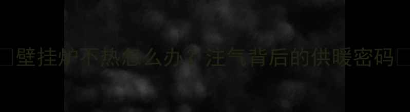 图片 🔥壁挂炉不热怎么办？注气背后的供暖密码🔥