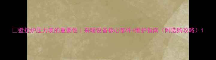 图片 🔥壁挂炉压力表的重要性｜采暖设备核心部件+维护指南（附选购攻略）1