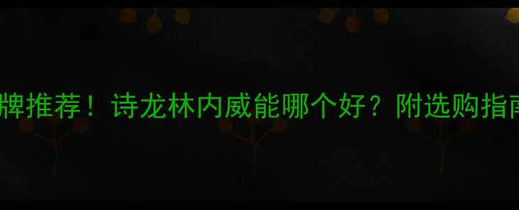 壁挂炉品牌推荐诗龙林内威能哪个好附选购指南安装秘籍