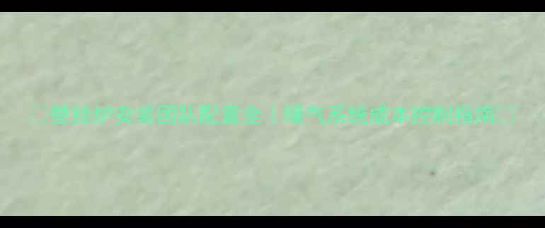 图片 🔥壁挂炉安装团队配置全｜暖气系统成本控制指南🔥