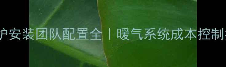 图片 🔥壁挂炉安装团队配置全｜暖气系统成本控制指南🔥1