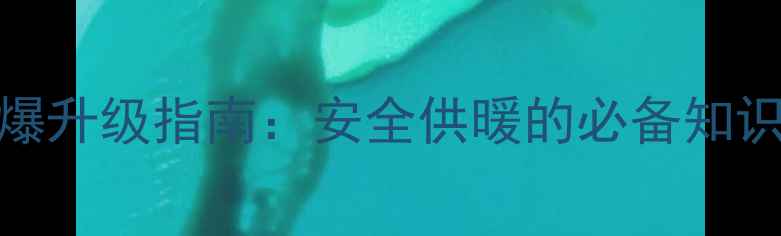 图片 🔥壁挂炉水流传感器防爆升级指南：安全供暖的必备知识（附选购安装全攻略）