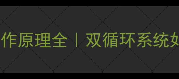 壁挂炉淋浴时水泵工作原理全双循环系统如何保障水温稳定