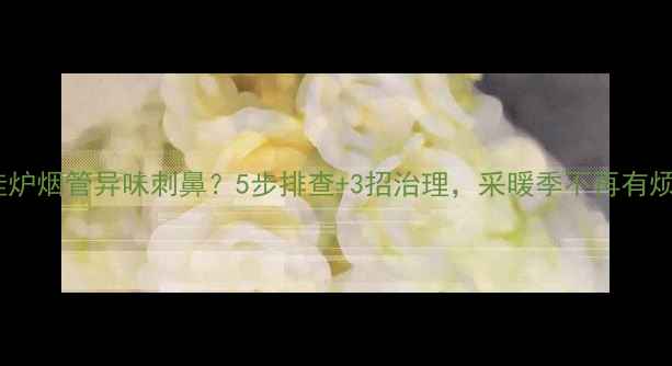 图片 🔥壁挂炉烟管异味刺鼻？5步排查+3招治理，采暖季不再有烦恼！1