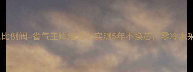 壁挂炉燃气比例阀省气王炸组合实测5年不换芯零冷水采暖全攻略