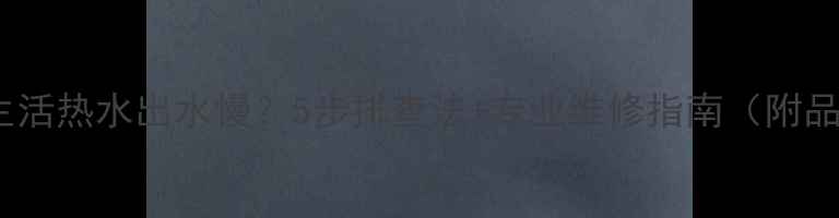 图片 🔥壁挂炉生活热水出水慢？5步排查法+专业维修指南（附品牌案例）2