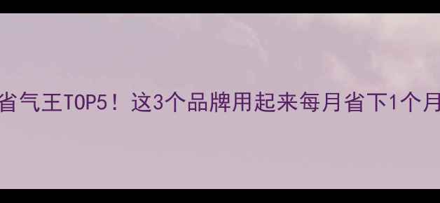 壁挂炉省气王TOP5这3个品牌用起来每月省下1个月燃气费