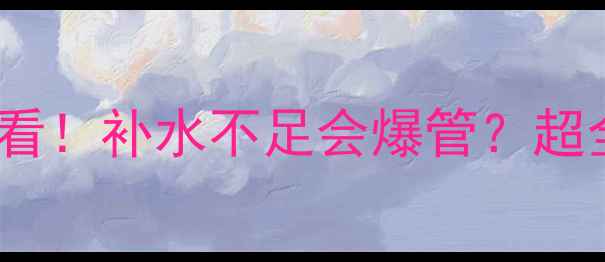 图片 🔥壁挂炉补水冷知识｜新手必看！补水不足会爆管？超全操作指南（附水位刻度图）2