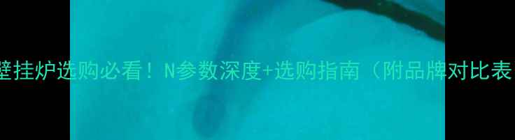 壁挂炉选购必看N参数深度选购指南附品牌对比表