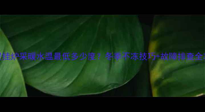 图片 🔥壁挂炉采暖水温最低多少度？冬季不冻技巧+故障排查全攻略