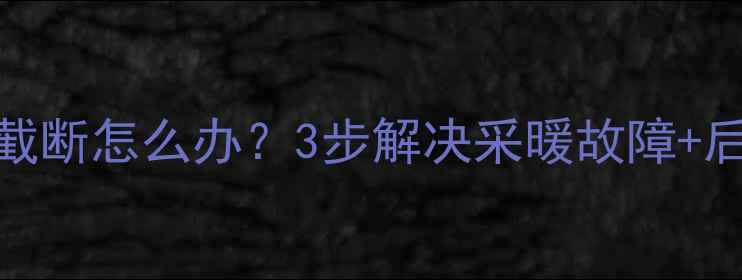 壁挂锅炉暖气片被截断怎么办3步解决采暖故障后果全家庭供暖指南