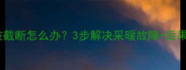 图片 🔥壁挂锅炉暖气片被截断怎么办？3步解决采暖故障+后果全｜家庭供暖指南2
