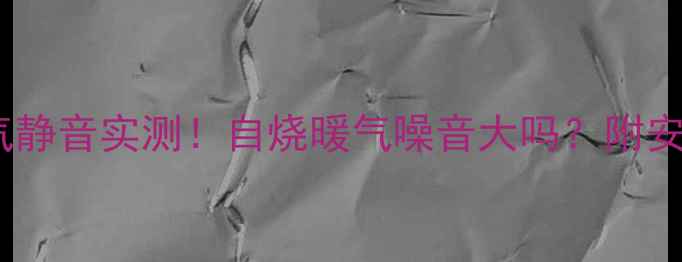 图片 🔥天然气暖气静音实测！自烧暖气噪音大吗？附安装避坑指南2