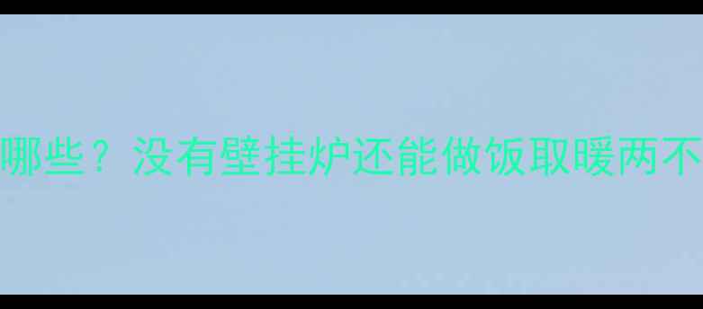 图片 🔥天然气采暖设备有哪些？没有壁挂炉还能做饭取暖两不误吗？｜附选型攻略