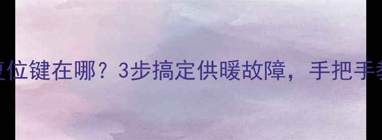 图片 🔥威能壁挂炉复位键在哪？3步搞定供暖故障，手把手教你快速重启！