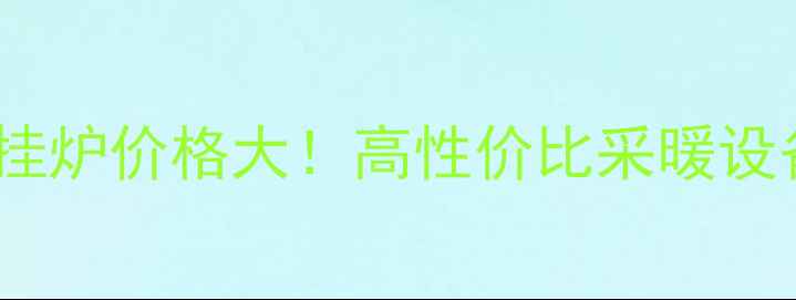 图片 🔥威能家用壁挂炉价格大！高性价比采暖设备选购指南🔥2