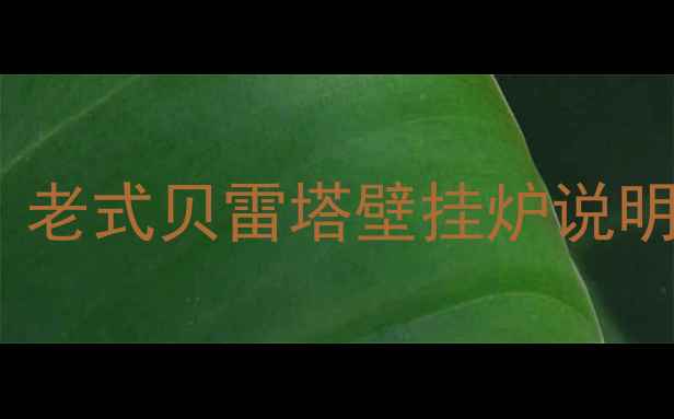 开箱必看老式贝雷塔壁挂炉说明书核心要点