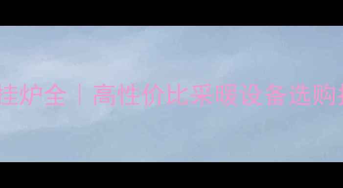 德国原装Viessmann壁挂炉全高性价比采暖设备选购指南省气技巧大公开