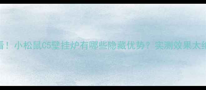 图片 🔥必看！小松鼠C5壁挂炉有哪些隐藏优势？实测效果太绝了！