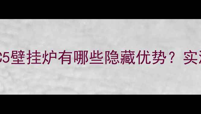 图片 🔥必看！小松鼠C5壁挂炉有哪些隐藏优势？实测效果太绝了！2