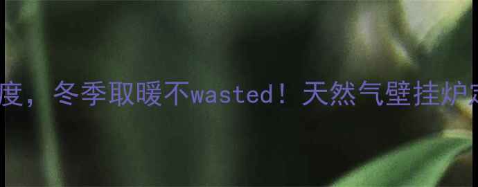 手把手教你设定壁挂炉温度冬季取暖不wasted天然气壁挂炉定温全攻略附节能技巧