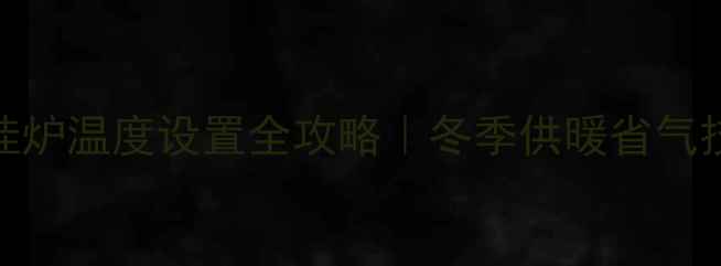 托普海壁挂炉温度设置全攻略冬季供暖省气技巧大公开