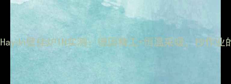 抄作业Haydn壁挂炉1N实测德国精工恒温采暖抄作业的取暖神器