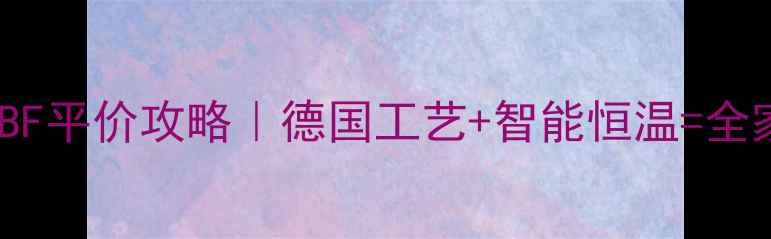 斯密壁挂炉25BF平价攻略德国工艺智能恒温全家温暖不费电