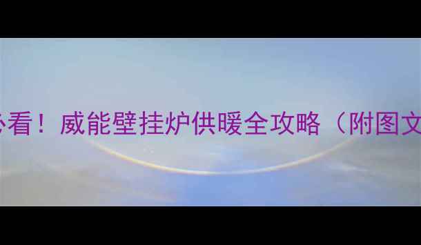 图片 🔥新手必看！威能壁挂炉供暖全攻略（附图文教程）1