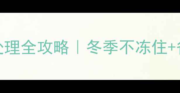 图片 🔥暖气主回水管道漏水紧急处理全攻略｜冬季不冻住+省钱攻略（附专业维修电话）