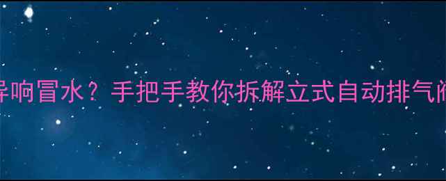 暖气片不热异响冒水手把手教你拆解立式自动排气阀附清洗教程