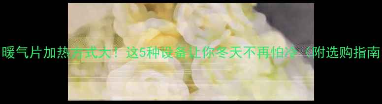 图片 🔥暖气片加热方式大！这5种设备让你冬天不再怕冷（附选购指南）