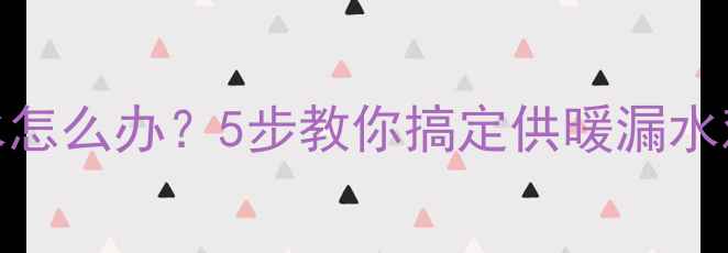 图片 🔥暖气片排气孔一直放水怎么办？5步教你搞定供暖漏水难题（附家庭自检指南）