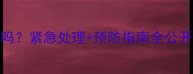 暖气片漏水会漏完吗紧急处理预防指南全公开采暖设备维护必看
