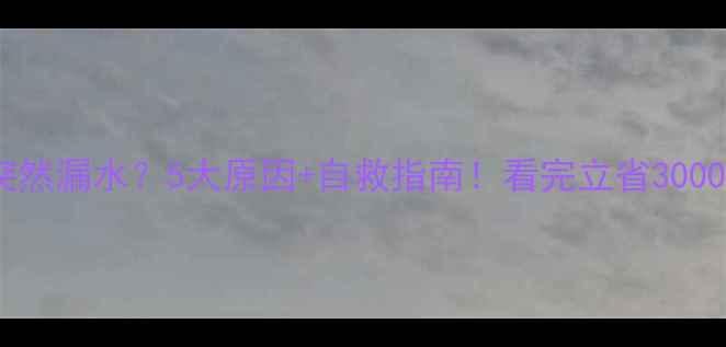 图片 🔥暖气片突然漏水？5大原因+自救指南！看完立省3000元维修费2