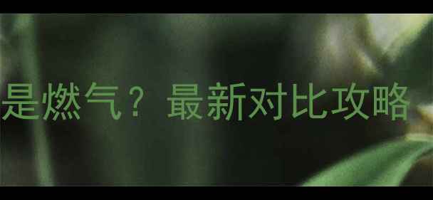 图片 🔥暖气片选电还是燃气？最新对比攻略（附避坑指南）1