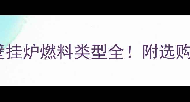 图片 🔥最新燃气壁挂炉燃料类型全！附选购避坑指南🔥1