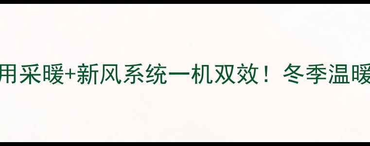 朗思威家用采暖新风系统一机双效冬季温暖不干燥全