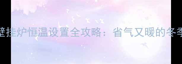 图片 🔥林内燃气壁挂炉恒温设置全攻略：省气又暖的冬季采暖秘籍！