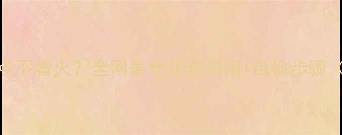 欧洲之星壁挂炉点不着火全网最全排查指南自检步骤附故障代码解读