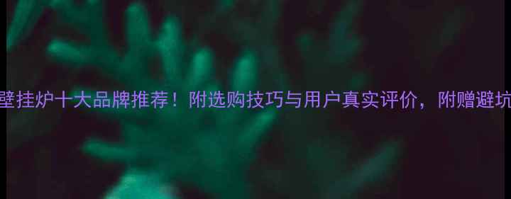 图片 🔥欧洲壁挂炉十大品牌推荐！附选购技巧与用户真实评价，附赠避坑指南🔥