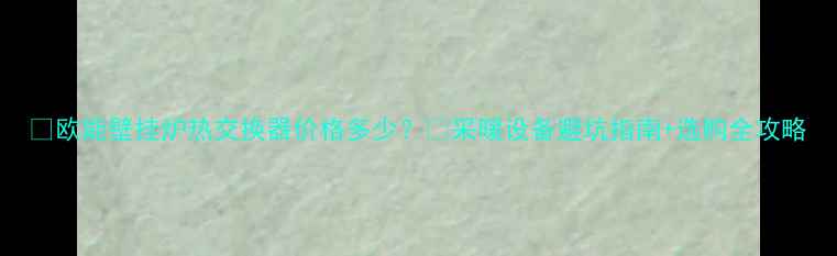 图片 🔥欧能壁挂炉热交换器价格多少？💰采暖设备避坑指南+选购全攻略