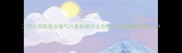 河北铜铝复合暖气片最新报价全攻略附选购避坑指南