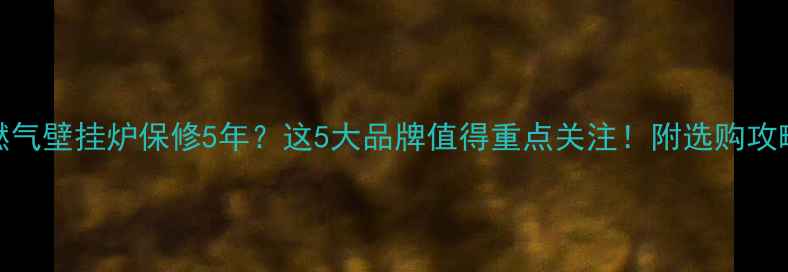 图片 🔥燃气壁挂炉保修5年？这5大品牌值得重点关注！附选购攻略🔥