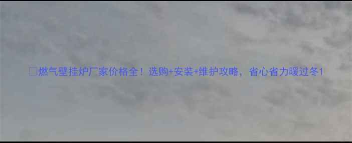 燃气壁挂炉厂家价格全选购安装维护攻略省心省力暖过冬
