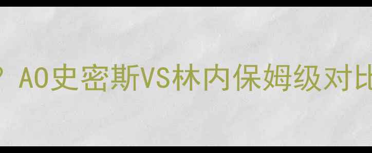 图片 🔥燃气壁挂炉哪个好？AO史密斯VS林内保姆级对比｜闭眼入不踩坑指南