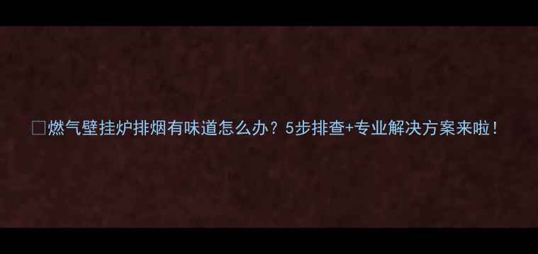 燃气壁挂炉排烟有味道怎么办5步排查专业解决方案来啦