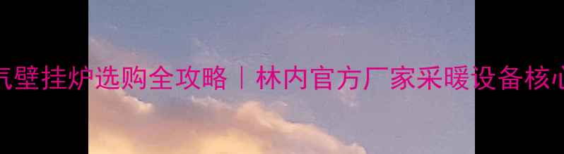 图片 🔥燃气壁挂炉选购全攻略｜林内官方厂家采暖设备核心参数