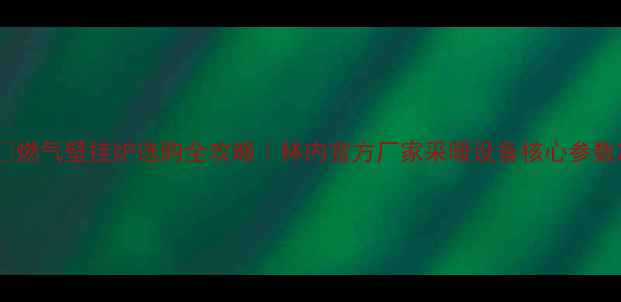 燃气壁挂炉选购全攻略林内官方厂家采暖设备核心参数